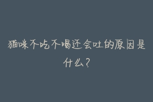 猫咪不吃不喝还会吐的原因是什么?