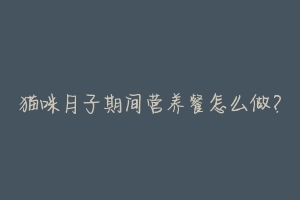 猫咪月子期间营养餐怎么做?