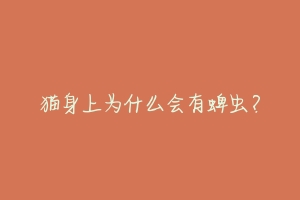 猫身上为什么会有蜱虫?
