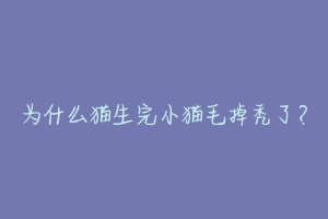 为什么猫生完小猫毛掉秃了?
