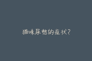 猫咪尿憋的症状?