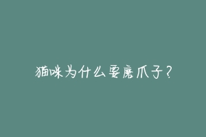 猫咪为什么要磨爪子?