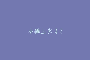 小猫上火了?