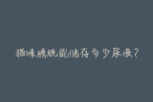 猫咪膀胱能储存多少尿液?
