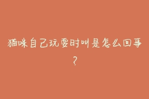 猫咪自己玩耍时叫是怎么回事?