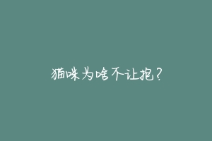 猫咪为啥不让抱?