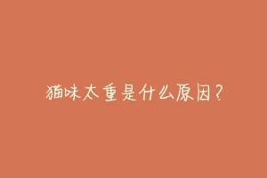 猫味太重是什么原因?