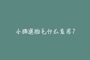 小猫退胎毛什么意思?
