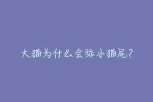 大猫为什么会舔小猫屁？