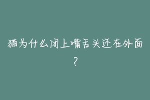 猫为什么闭上嘴舌头还在外面?
