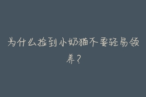 为什么捡到小奶猫不要轻易领养?