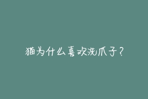 猫为什么喜欢洗爪子?