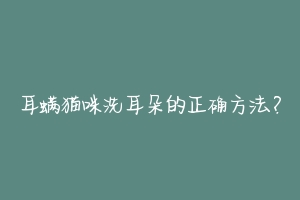 耳螨猫咪洗耳朵的正确方法?