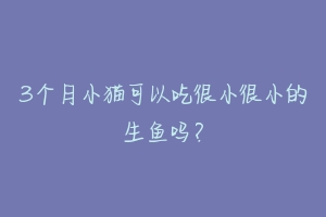 3个月小猫可以吃很小很小的生鱼吗?