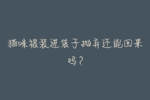 猫咪被装进袋子抛弃还能回来吗?
