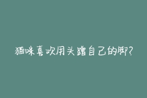 猫咪喜欢用头蹭自己的脚?