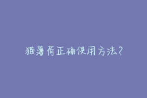 猫薄荷正确使用方法?