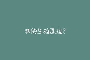 猫的生殖原理?