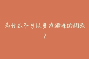 为什么不可以剪掉猫咪的胡须?