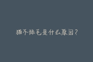 猫不舔毛是什么原因?