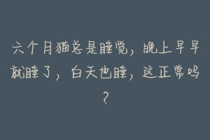 六个月猫总是睡觉,晚上早早就睡了,白天也睡,这正常吗?