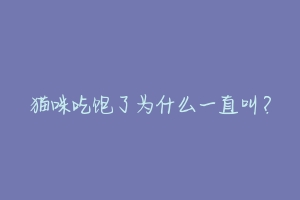 猫咪吃饱了为什么一直叫?