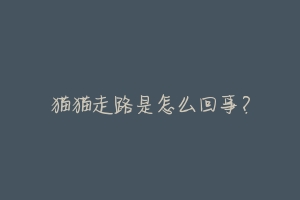 猫猫走路是怎么回事?
