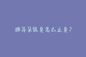 猫耳朵很臭怎么止臭?