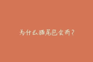 为什么猫尾巴会折？