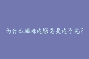 为什么猫咪吃饭总是吃不完?