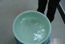 我的猫很皮,可不可以帮我管它,什么意思?