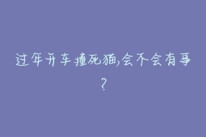 过年开车撞死猫,会不会有事?