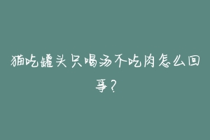 猫吃罐头只喝汤不吃肉怎么回事?