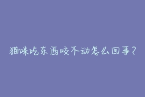 猫咪吃东西咬不动怎么回事?
