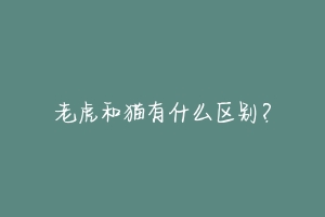 老虎和猫有什么区别?