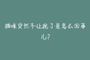 猫咪突然不让抱了是怎么回事儿?