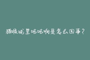 猫喉咙里咕咕响是怎么回事？