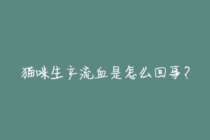 猫咪生产流血是怎么回事?