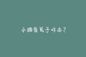 小猫有虱子咋办?