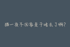 猫一夜不回家是干啥去了啊?