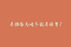 养猫家为啥不能养绿萝?