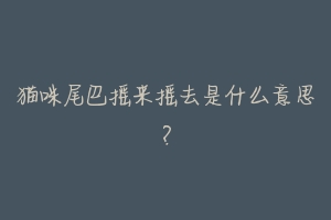 猫咪尾巴摇来摇去是什么意思?