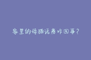 家里的母猫话痨咋回事?