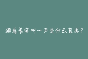 猫看着你叫一声是什么意思?