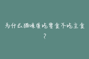 为什么猫咪爱吃零食不吃主食?