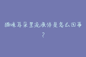 猫咪耳朵里流液体是怎么回事?