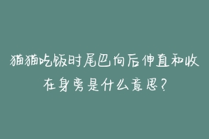 猫猫吃饭时尾巴向后伸直和收在身旁是什么意思?
