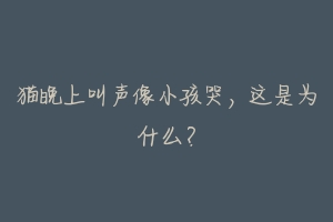 猫晚上叫声像小孩哭,这是为什么?