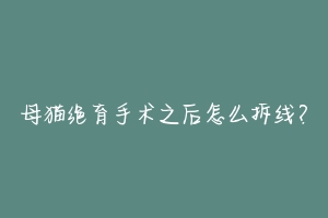 母猫绝育手术之后怎么拆线?