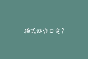 猫式动作口令?
